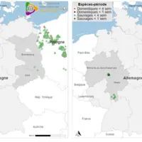 Carte évolution peste porcine en Allemagne en août 2025