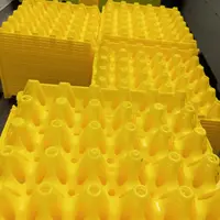 alvéole plastique pour les oeufs