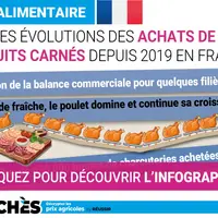 infographie sur la consommation de viande et volaille
