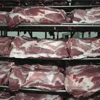 viande de porc dans un abattoir russe. agroalimentaire.