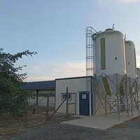élevage de volaille
