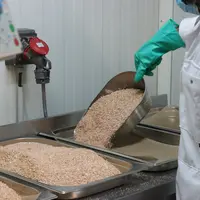 poudre de coquille d'oeuf dans une usine