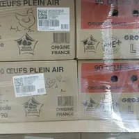 cartons d'oeufs pour les grossistes