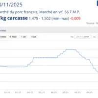 Graphique cours du porc au MPF