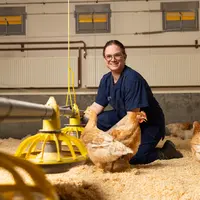 élevage de poulet avec élevurse en arrière plan