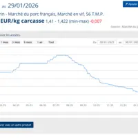 Le prix du porc baisse en France