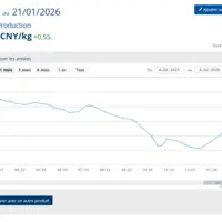 Le cours du porc en Chine