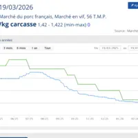 Le cours du porc en France et en Allemagne