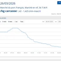 Le cours du porc au Marché du porc Français entre Mars 2025 et 2026