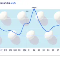 graphique