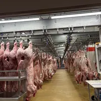 carcasse de bovins en boucherie