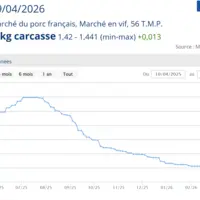 Les cours du porc à Plérin