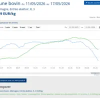 Graphique de prix