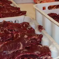 viande en usine