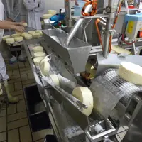 fabrication de camembert en usine