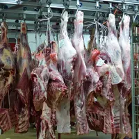 quartiers de viande au frigo
