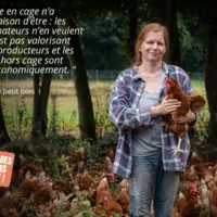 carte postale avec une éleveuse de poules