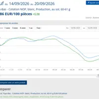 graphique