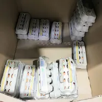 boites d'oeufs dans un carton