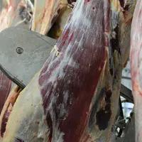 carcasse en abattoir