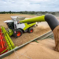 Moissonneuse-batteuse Claas Lexion 7700 en cours de vidange de trémie
