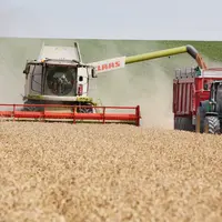 travaux de moisson