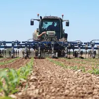 Carré Bineuse Plan de relance agricole Réussir Machinisme