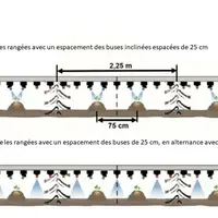 Horsch pulvé en bande Réussir Machinisme