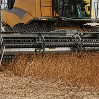 New Holland a annoncé un partenariat avec Macdon concernant ls coupes à tapis de type draper. 