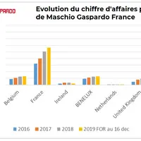 Graphique représentant l'évolution par pays du chiffre d'affaires de Maschio Gaspardo France