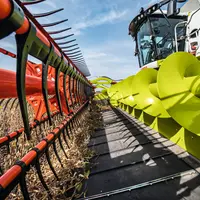 Vue des tapis de la coupe Draper Claas Convio