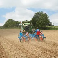 Davantage utilisé en maraîchage, le guidage manuel est une alternative économique aux solutions d'autoguidage.  © Monosem