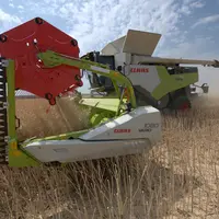 Claas propose de nouvelles scies à colza à entraînement mécanique sur les grandes coupes Vario. Plus légères, elles se montent sans outils et n'entrav