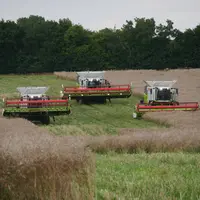 Les trémies de type américaines des moissonneuses-batteuses Claas Trion sont disponibles dès 10 500 litres.  © L. Vimond
