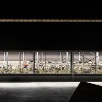 Les lampes L4C de Lely offrent une meilleure répartition de la lumière.