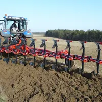Cultivant des terres très superficielles sur roche calcaire, les adhérents engagés sur la charrue déchaumeuse labourent entre 7 et 8 cm de profondeur.