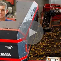 Par l'économie de main-d'œuvre, Arnaud Lecouteux estime rentabiliser son trieur optique dès la cinquième année.