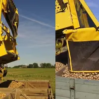 Pour un plus grand respect des pommes de terre, un système de remplissage repliable est proposé en option. © Ropa