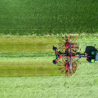 Les andaineurs à dépose centrale réalisent des andains plus homogènes que les appareils à dépose latérale.