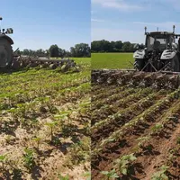 Bineuse Binnove avec tracteur Fendt Vario au travail