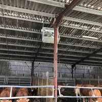 Orela propose des brasseurs d'air pour les bâtiments d'élevage.