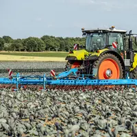 La herse étrille Thulit de Lemken est proposée en deux largeurs de 6 et 9 m.