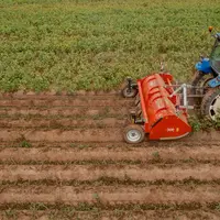 Le broyeur Kuhn BFP 320 affiche une largeur de 3,20 m et peut travailler sur des rangs de pommes de terre espacés de 75 ou 80 cm.