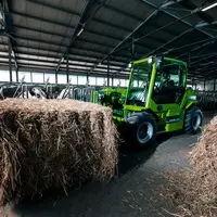 Merlo