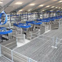 La plus grande installation au monde en Batch Milking se situe au Danemark. Elle compte 24 robots pour traire 830 Jersiaises (1 400 à terme).