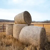 Les propriétés du filet assure les fonctions de liage des balles sur une longue durée tout en étant biodégradable dans le sol.