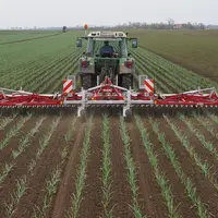 Herse étrille Suire Excellio