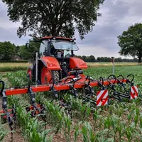Bineuse et tracteur Kubota dans un champ de maïs