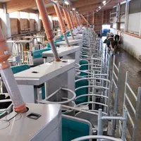 Robots de traite DairyRobot R9650 de GEA en installation de traite par lots Batch Milking