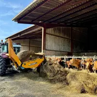 Dérouleuse Emily distribuant une balle ronde de foin à des bovins viande